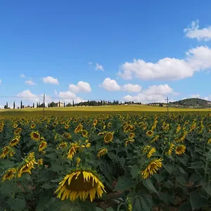 incantevole appartamento in borgo di campagna Appartamento Perugia
